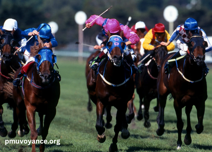 Societe Turf Trio