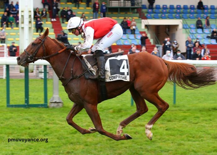 Les Gains Du Jour (1)