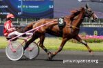 Champion Des Courses (2)