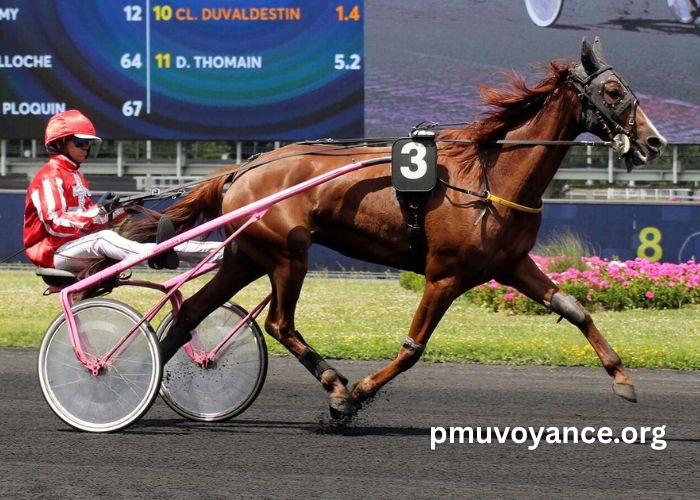 Champion Des Courses (2)