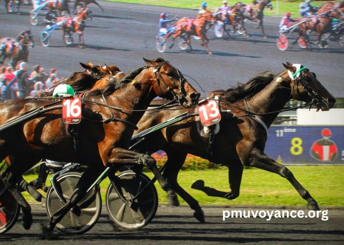Equidia Turf Pronostic