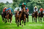 Formule Sur Turf