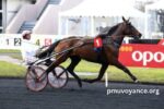 Fortune Turf Vip (2)