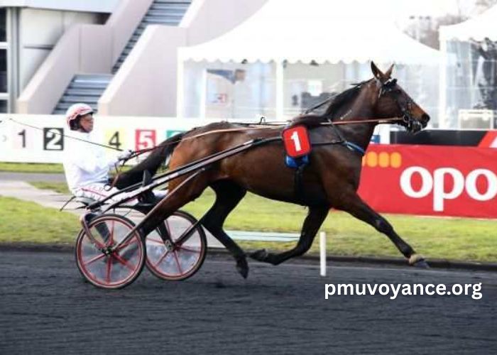 Fortune Turf Vip (2)