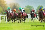 Journal Gratuit Du Parieur