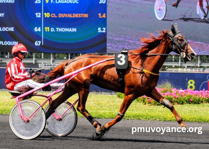 Legende Hippique Turf