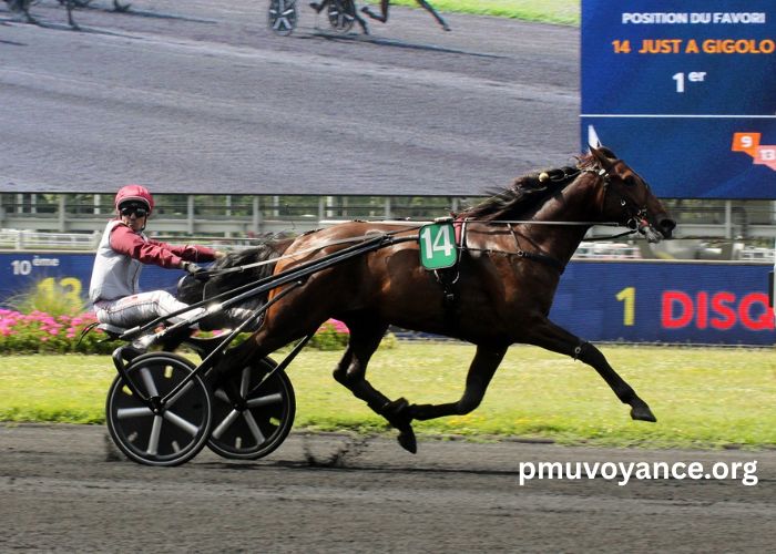Les Leaders Turf
