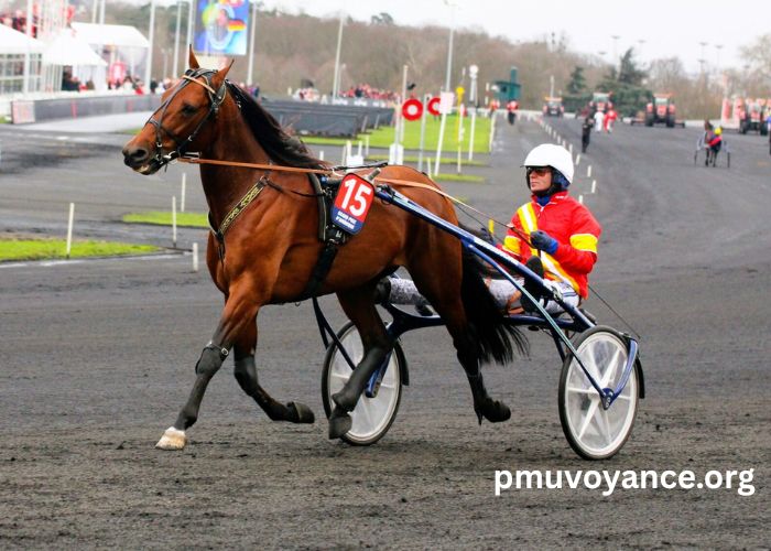 Maxi Prono Vérité