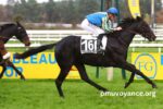 Paris Promise Turf (1)