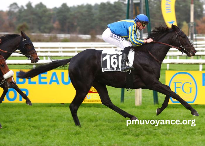 Paris Promise Turf (1)