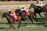Prono Choc Turf (2)