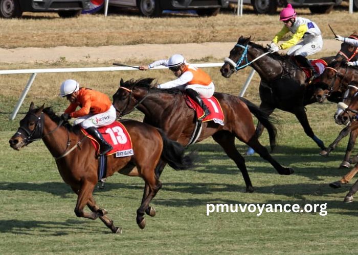 Prono Choc Turf (2)