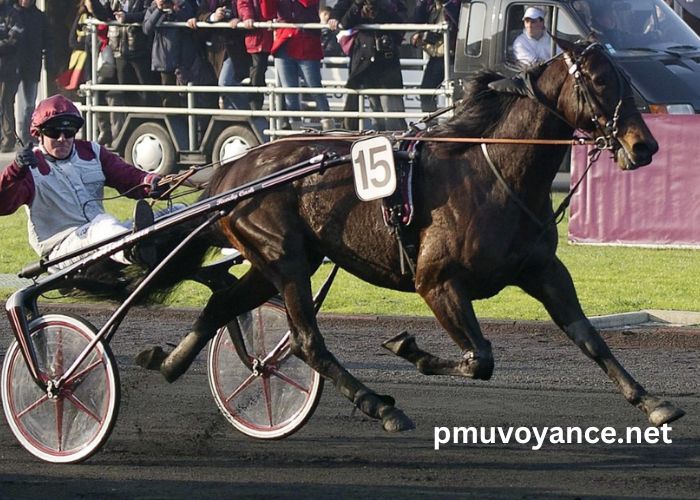 Pronostic Pmu Gratuit Tiercé Quarté Quinté