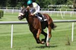 Turf D'or (100+) (2)